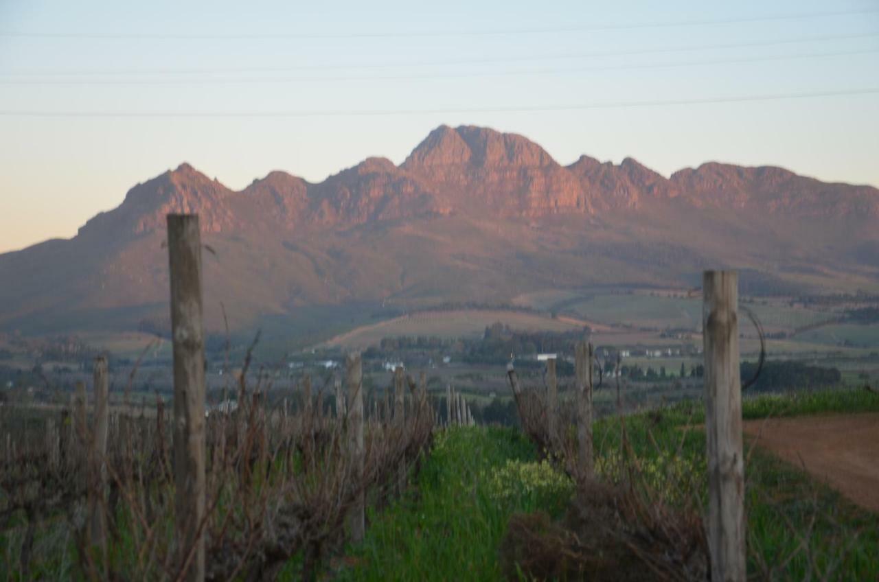 Art House Villa Stellenbosch Buitenkant foto